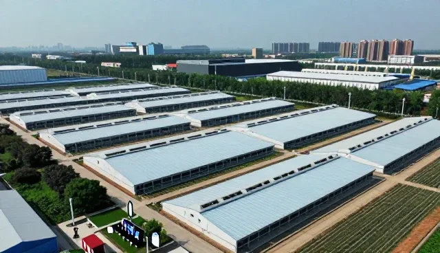 技术培训技术如何影响创新变化